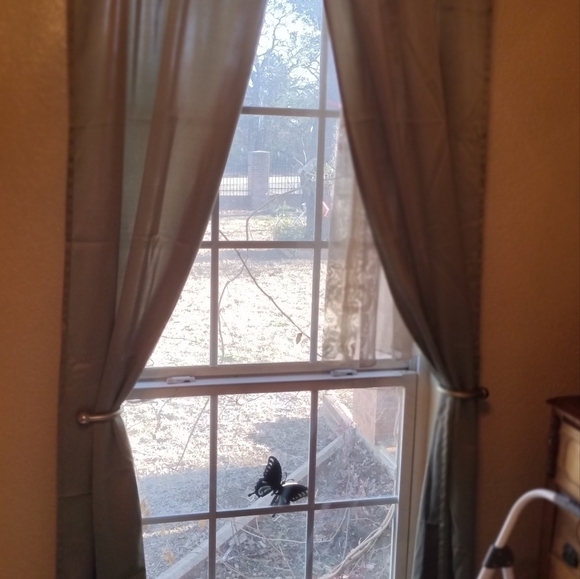 INTERIOR Design Curtain Panels - Picture 4 of 10